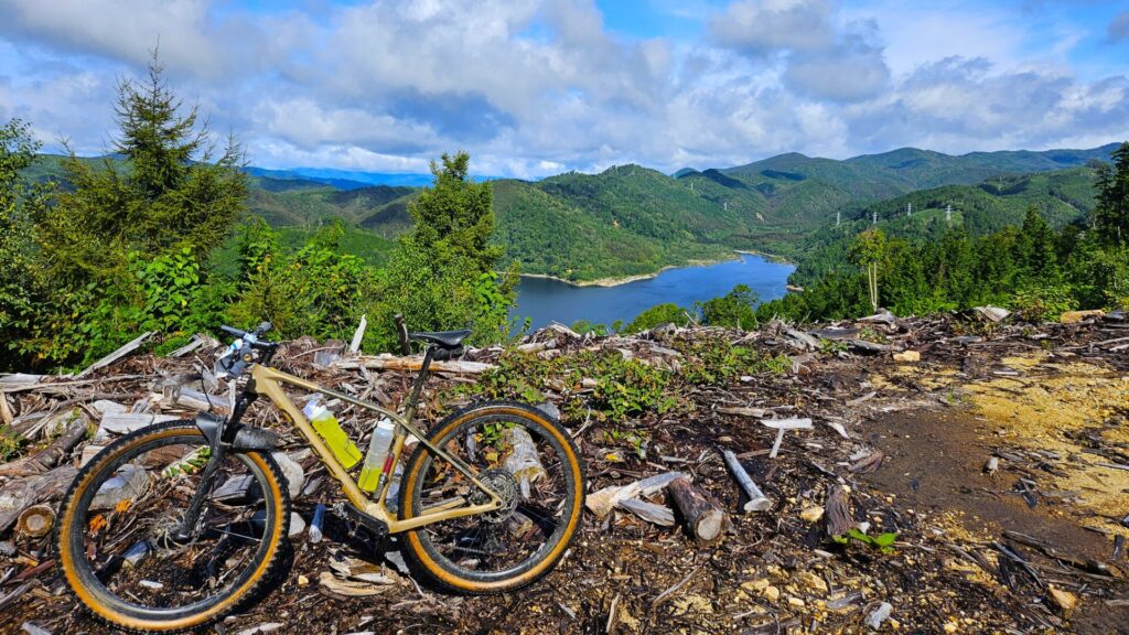 八木様 自転車 楽天市場】【送料無料】【ランキング1位獲得!】リニューアル! ド迫力の